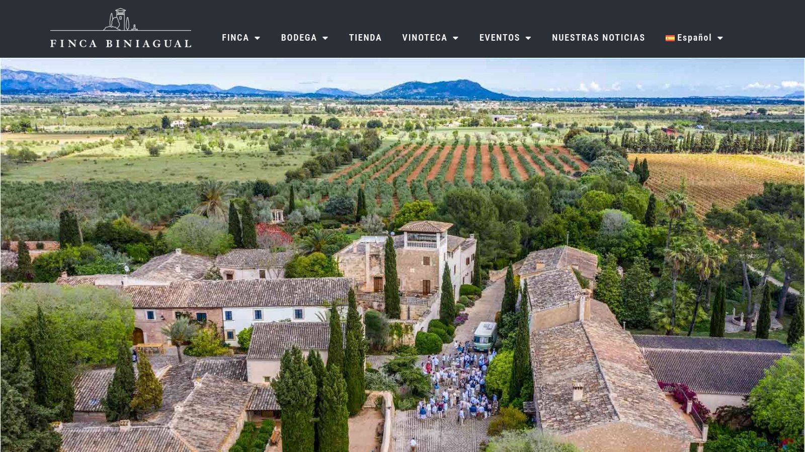 Rows of lush vineyards leading to the historic stone buildings of Finca Biniagual, a prime example of wedding venues in Mallorca with authentic character.